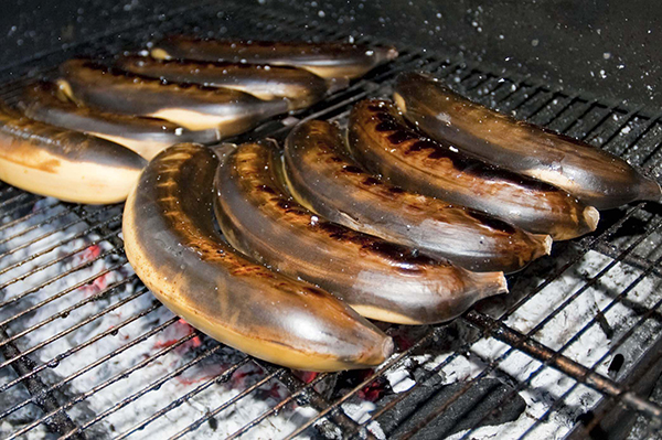 Barbecue fumoir - Agrobois, saunas, cuisson extérieure